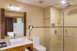 nhu minh plaza danang hotel