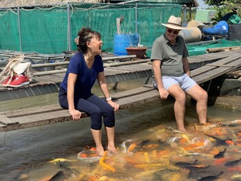 winter spring homestay