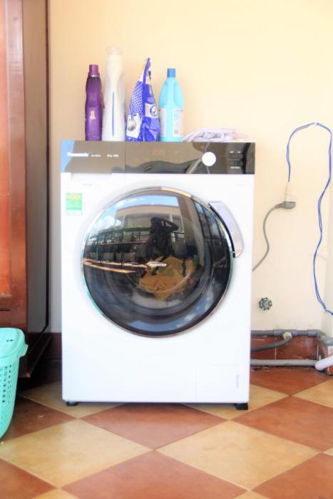 winter spring homestay