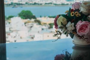 mitisa hotel da nang near dragon bridge