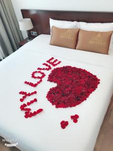 mitisa hotel da nang near dragon bridge