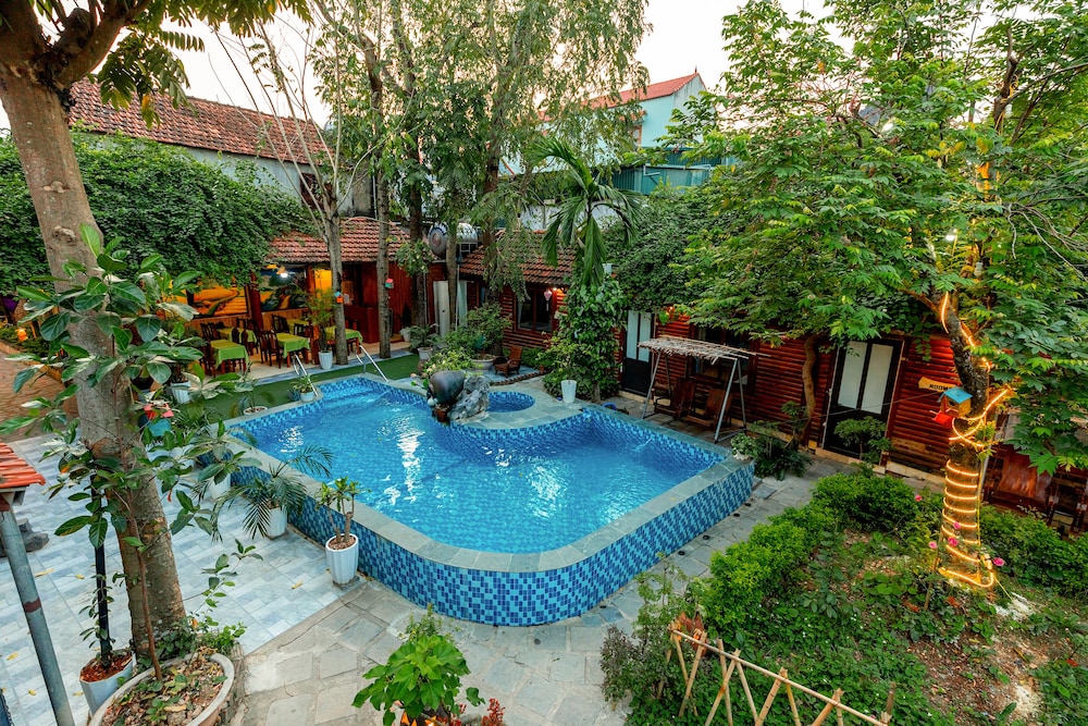 hoa lu