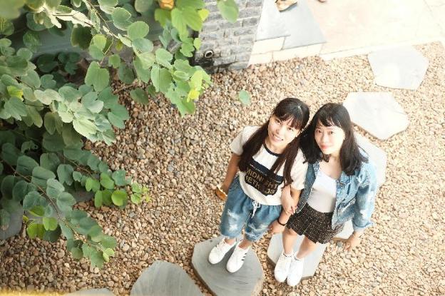 trai hoa vang homestay hostel