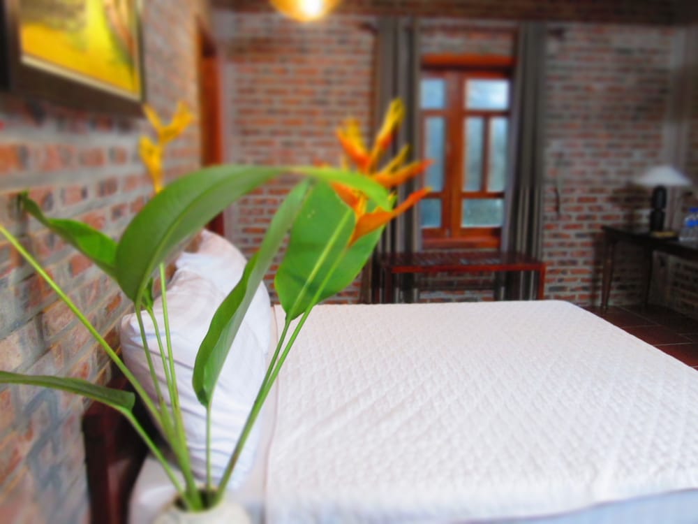 ninh binh nature homestay