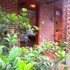 ninh binh nature homestay