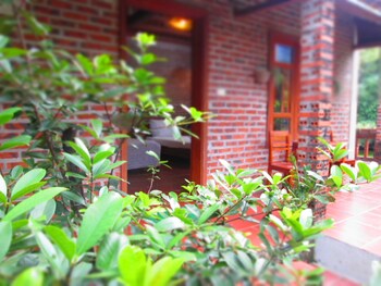ninh binh nature homestay