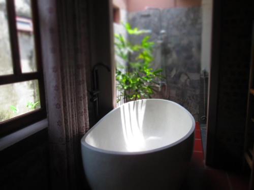 ninh binh nature homestay