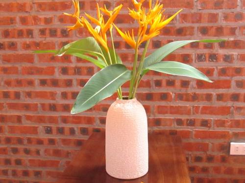 ninh binh nature homestay