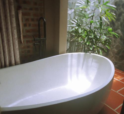ninh binh nature homestay