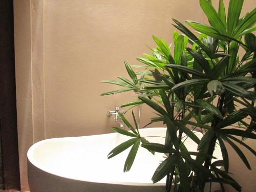 ninh binh nature homestay
