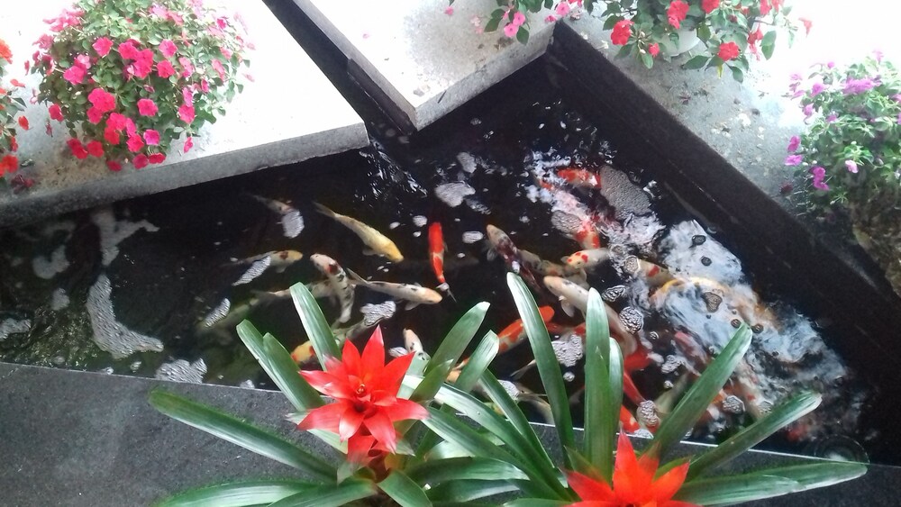 hiep yen hotel
