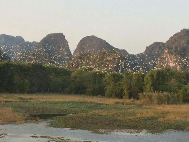 van long family homestay