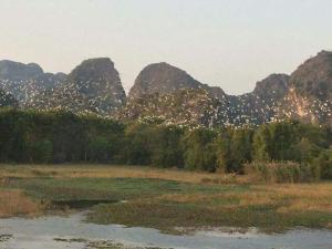 van long family homestay