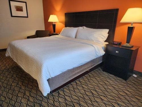 holiday inn express hotel and suites cadillac by ihg