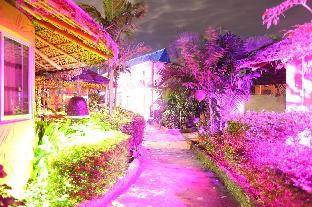 divine eco resort