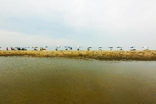divine eco resort