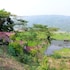 gowainghat