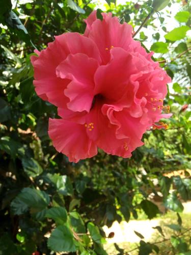 bandarban