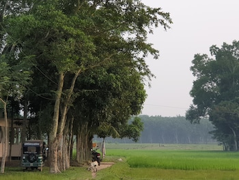 sreemangal