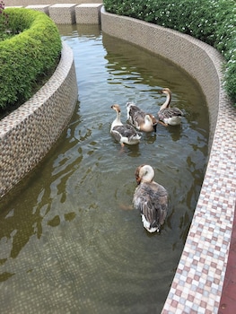 sonargaon royal resort