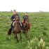 estancia los platanos