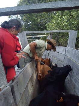 estancia los platanos