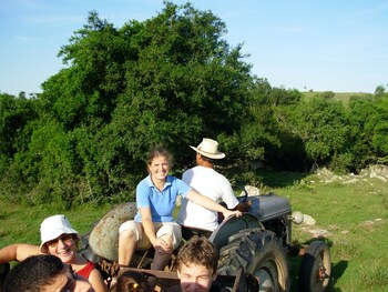 estancia los platanos