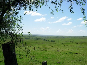 estancia los platanos