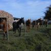 estancia los platanos