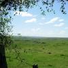 estancia los platanos