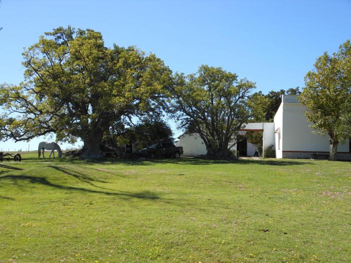 estancia los platanos