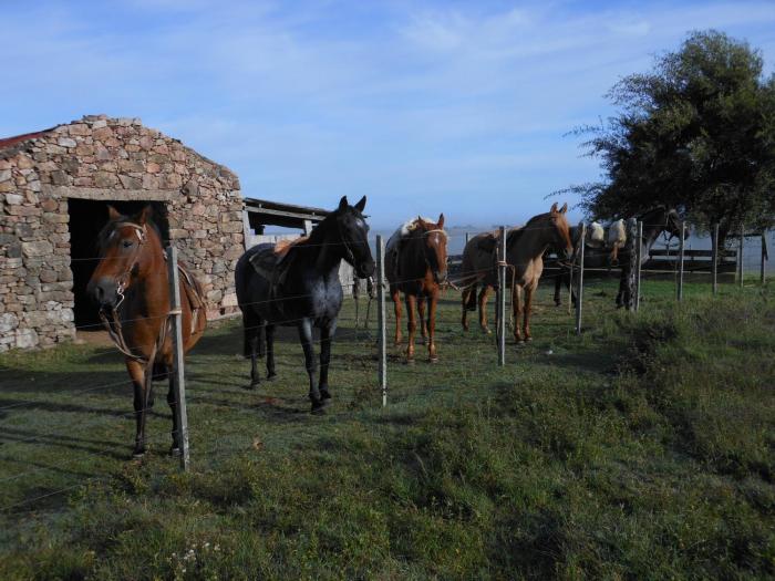 estancia los platanos