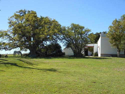 estancia los platanos