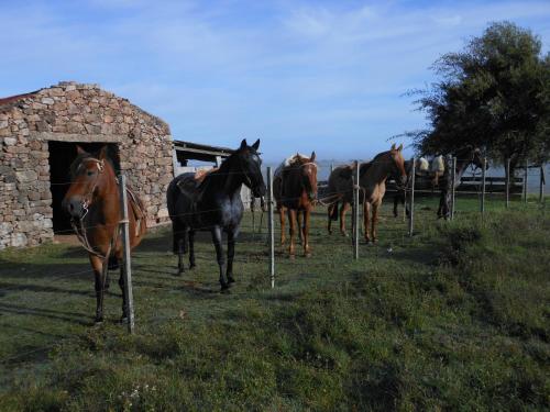 estancia los platanos