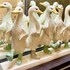 duck lodge bandb
