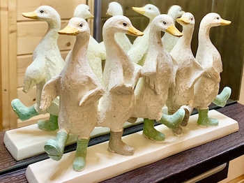 duck lodge bandb