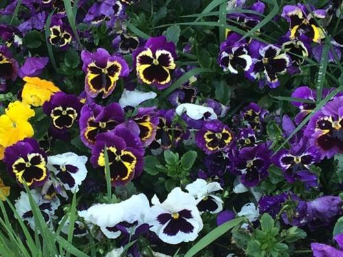 simplystay lincoln road