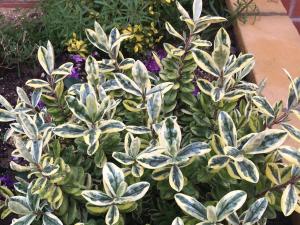 simplystay lincoln road