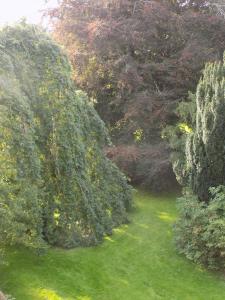 glendale guest house adults only