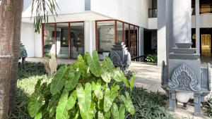 pacific hotel and spa
