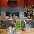the red lion inn
