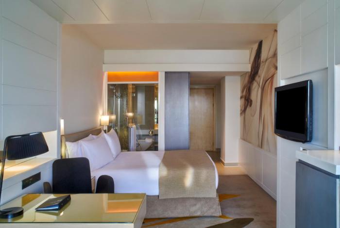 holiday inn cairo maadi by ihg