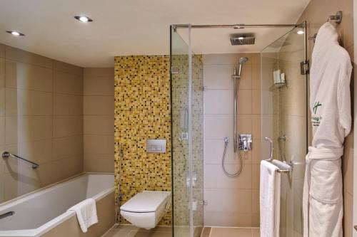 holiday inn cairo maadi by ihg