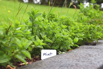 saplinbrae hotel and lodges