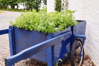 saplinbrae hotel and lodges