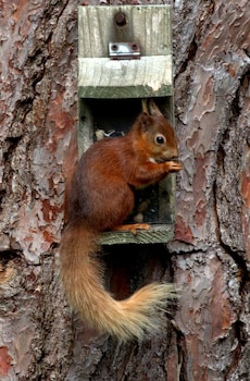 weston manor bed and breakfast