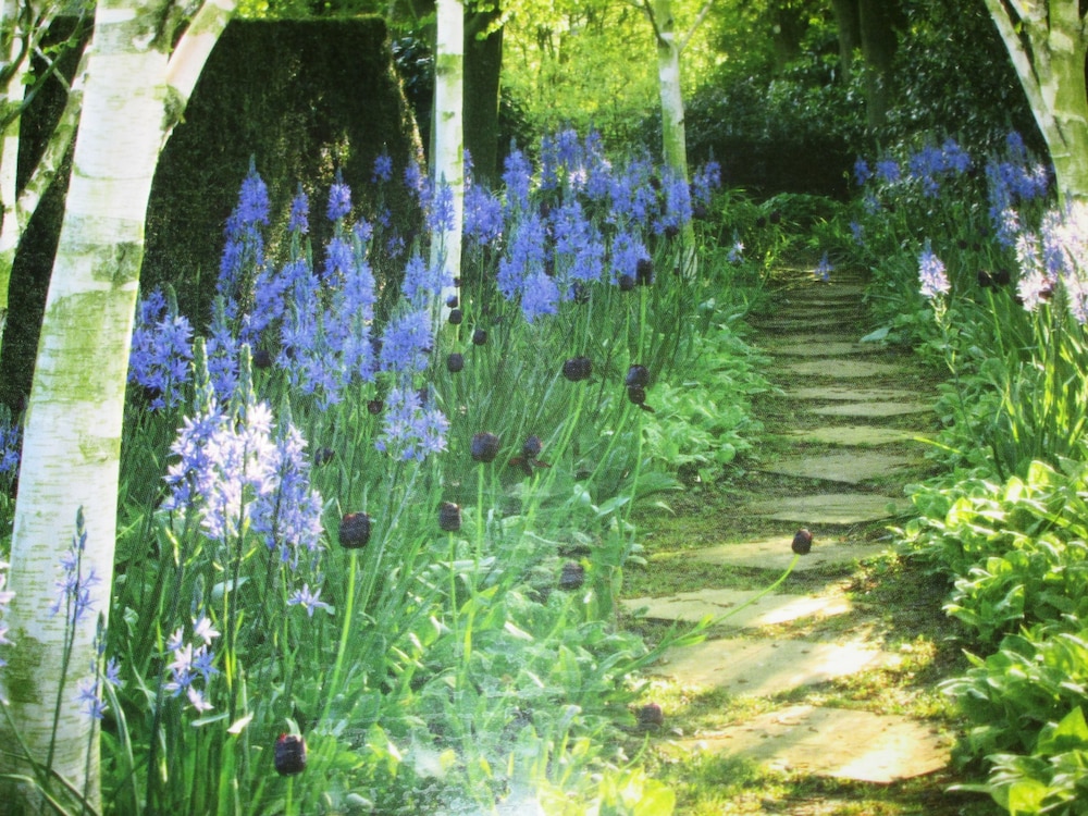 weston manor bed and breakfast