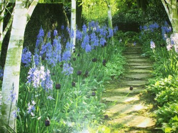 weston manor bed and breakfast