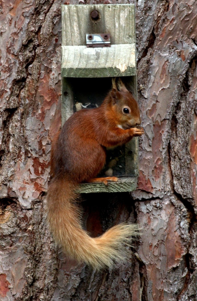 weston manor bed and breakfast