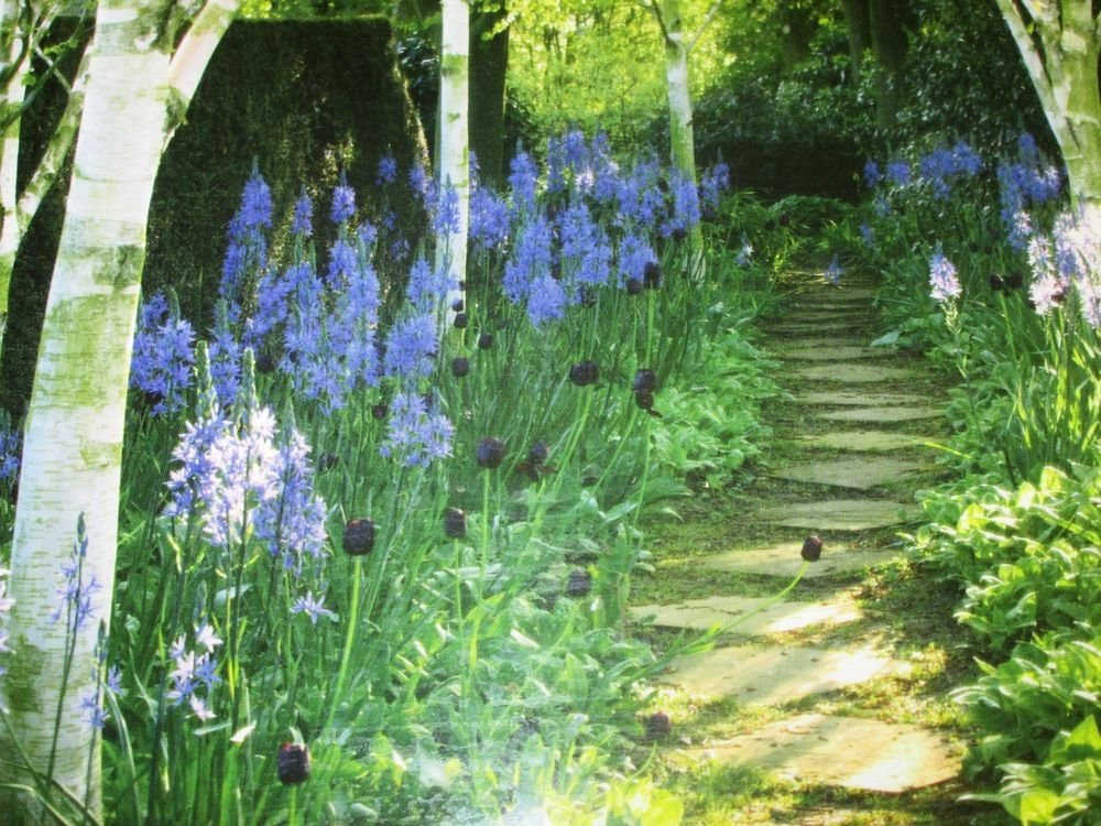 weston manor bed and breakfast